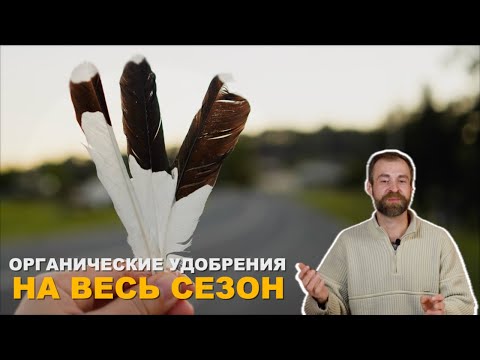 Видео: Пролонгированное удобрение из подушки.