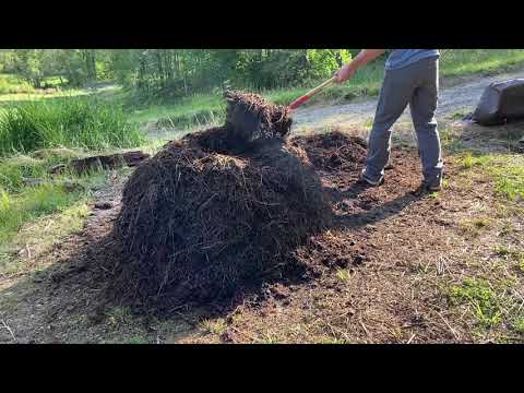 Видео: «Эпическое испытание компоста: от отходов до черного золота всего за 18 дней!»