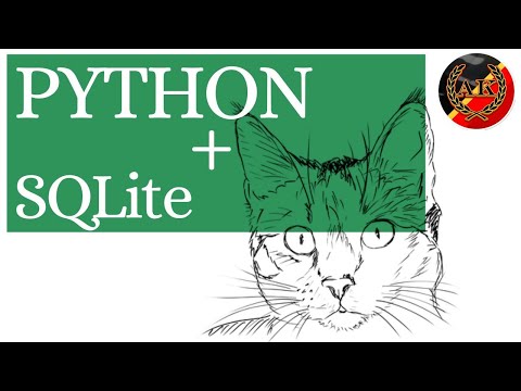 Видео: Работа с Базой Данных SQLite в Python