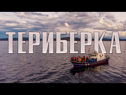 Видео: Териберка - киты, дельфины и рыбалка в Баренцевом море на треску