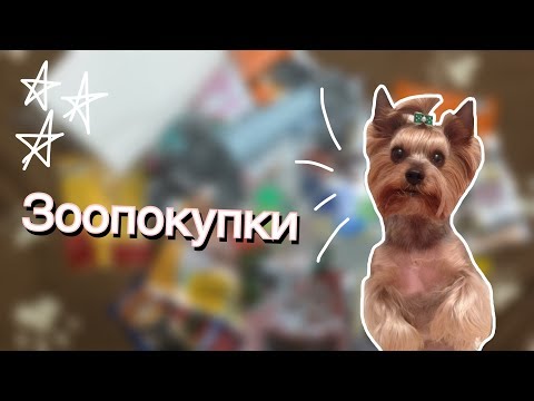 Видео: ПОКУПКИ ИЗ ЗООМАГАЗИНА/Много покупок