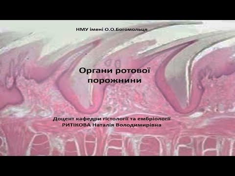 Видео: Лекція   ротова порожнина