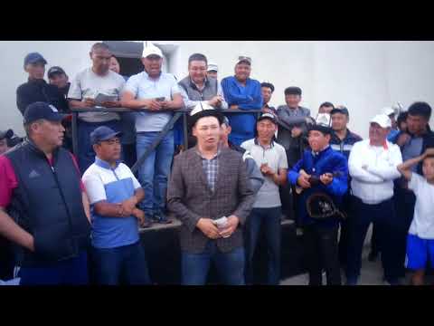 Видео: Алайкуу. Терек айылында өткөн волейбол оюнунун жыйынтыгы .