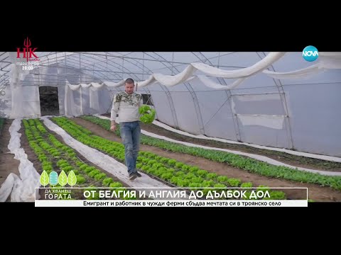 Видео: Да хванеш гората (16.02.2025)