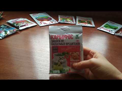 Видео: Карбофос - эффективное средство от насекомых-вредителей