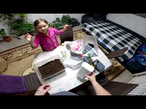 Видео: Вкусняха для рыбалки.