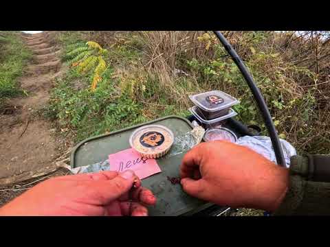 Видео: ФИДЕРНАЯ РЫБАЛКА С НОЧЁВКОЙ НА РЕКЕ ДОН ( АРПАЧИН )