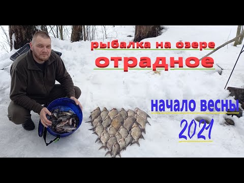 Видео: Рыбалка на озере Отрадное. Начало весны 2021 г.