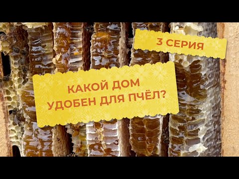 Видео: 3 серия. Какой же дом удобен для пчёл?