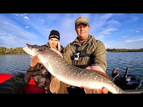 Видео: МЫ НЕ ТЕМ ЗАНИМАЛИСЬ ВЕСЬ ДЕНЬ! РЫБАЛКА С ЖЕНОЙ | Ловля щуки и окуня осенью - рыбалка на спиннинг