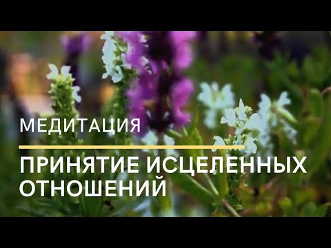 Видео: Медитация. Принятие исцеленных отношений. Людмила Мурзина
