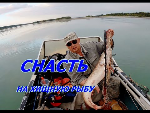 Видео: ЧЕМ ЛОВИТЬ ХИЩНУЮ РЫБУ Две оснастки для ловли хищной рыбы