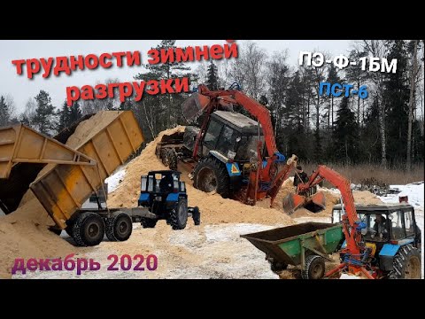 Видео: Трудности зимней разгрузки. ЗАТАРИВАЕМСЯ ОПИЛКАМИ, ВЫВОЗИМ НАВОЗ ОТ АНГАРА.ДЕКАБРЬ 2020.