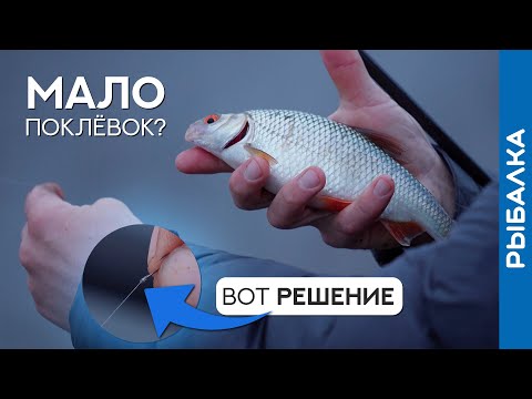 Видео: Как получить БОЛЬШЕ поклёвок при ловле ОСТОРОЖНОЙ рыбы?