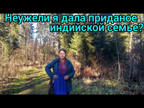 Видео: 95.Прогулка по лесу и рассказ о моем приданом🤔