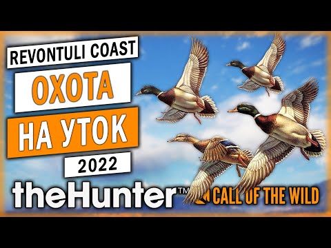 Видео: ОНИ ВЕРНУЛИСЬ!!! НОВАЯ ОХОТА НА УТОК И ГУСЕЙ В 2022! | theHunter Call of the Wild 🦆 | (часть 2)