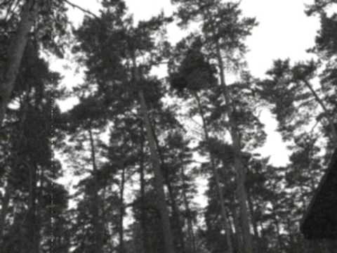 Видео: Der Golem - Птицы