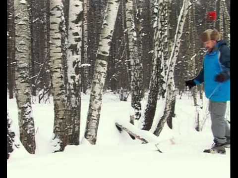 Видео: Следопыт с Глебом Данильцевым. Часть 8