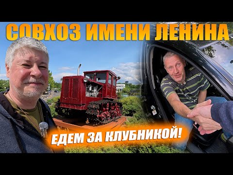 Видео: Вперёд! В совхоз имени Ленина за клубникой! Я офигел!