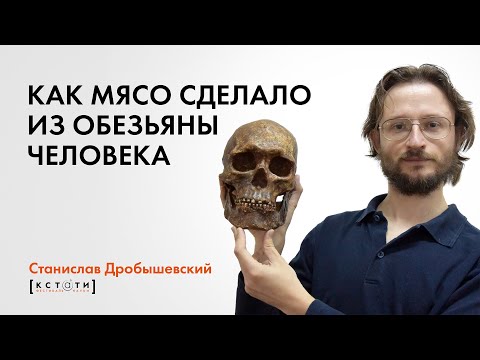 Видео: Станислав Дробышевский "Как мясо сделало из обезьяны человека"