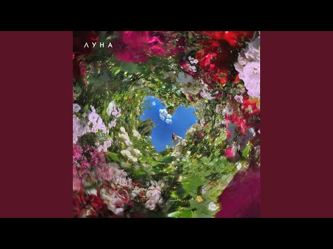 Видео: Суть