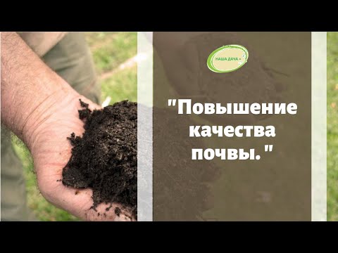 Видео: Повышение качества почвы, влагоемкость, теплоемкость, структурирование, плодородие. Ефимов Игорь.