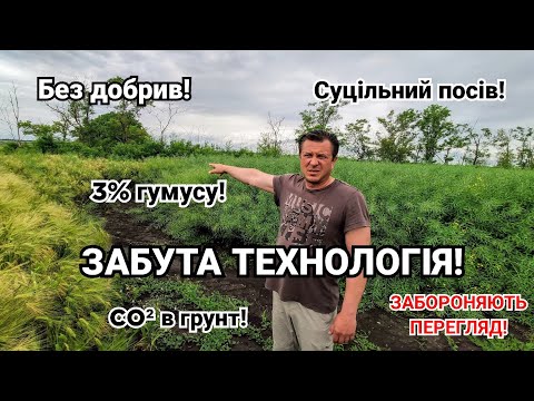 Видео: Відмовився від добрив і збирає більше! Технологія забута в 50х! Внесення СО² в грунт суцільний посів