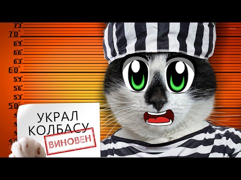 Видео: ПОБЕГ ИЗ ТЮРЬМЫ ЧЕЛЛЕНДЖ: ВСЕ СЕРИИ! КТО ПОСЛЕДНИЙ ВЫЛЕЗЕТ с ТЮРЬМЫ? ЗАПЕРЛИ КОТА и КОШКУ на 24 ЧАСА