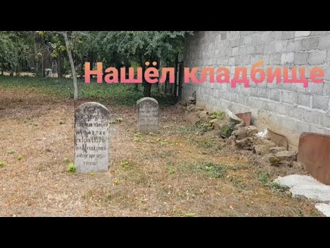 Видео: Майкоп. Нашёл кладбище во дворе. ☠ #724