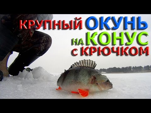 Видео: Зимняя рыбалка.Крупный ОКУНЬ на КОНУС с крючком.