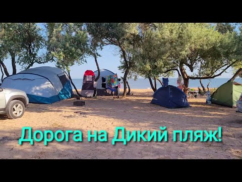 Видео: Дорога на дикий пляж Голубицкая. Как все же проехать туда? Показываю всю правду!