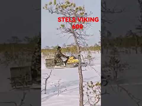 Видео: STELS VIKING 600 целяк, апарат 2015года. #снегоход #стелс #сибирь #stelsviking