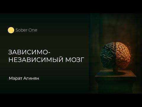 Видео: Салиентная сеть и зависимость: когда мозг выбирает ложное «важное» | Марат Агинян