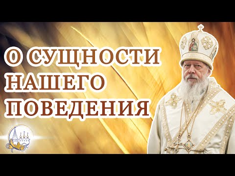 Видео: О сущности нашего поведения