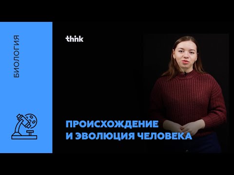 Видео: Происхождение и эволюция человека | Биология