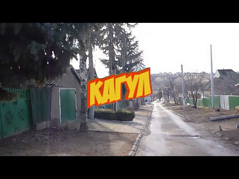 Видео: С Лёшкою прогулки. Кагул сверху  Лебеди