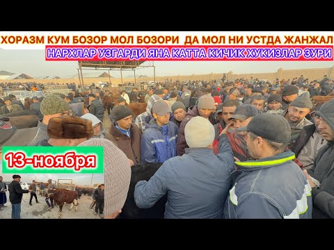 Видео: ХОРАЗМ КУМ БОЗОР МОЛ БОЗОРИ  ДА МОЛ НИ УСТДА ЖАНЖАЛ 13-ноября 2025 г.