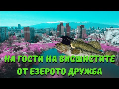 Видео: РИБОЛОВ НА BASS В ГРАДСКИ УСЛОВИЯ