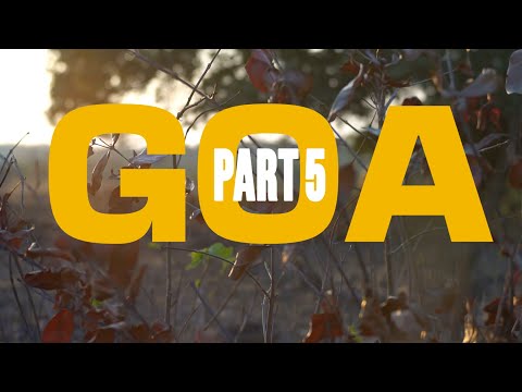 Видео: Ну вот чувак!