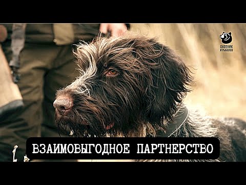 Видео: Взаимовыгодное партнерство // Спутники охотника // Серия 2
