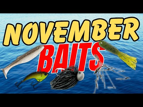 Видео: Я использую ТОЛЬКО эти 5 приманок для ловли крупного окуня в ноябре