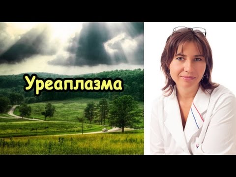 Видео: Уреаплазма