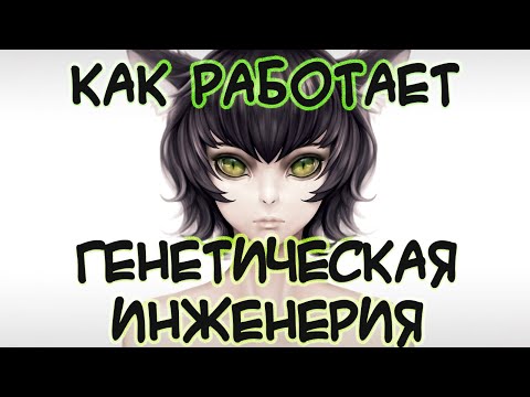 Видео: Как работает генетическая инженерия.