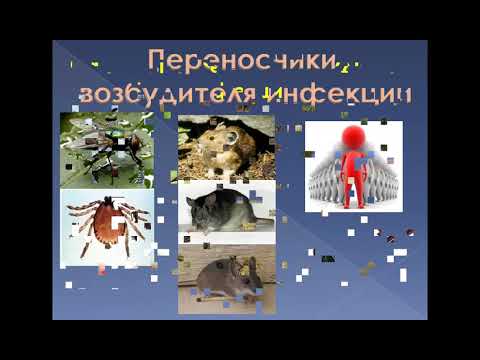 Видео: Петрова Ю.Н. Учение об эпизоотическом процессе