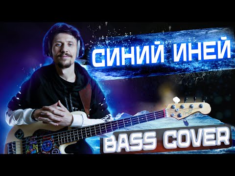 Видео: Синий Иней ❄️ группа КВАТРО 🔥 Бас кавер