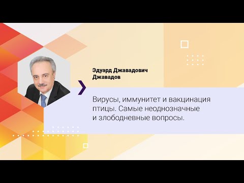 Видео: Вирусы, иммунитет и вакцинация птицы. Самые неоднозначные и злободневные вопросы