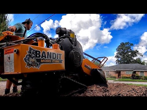Видео: ОСВАИВАЮ новый БИЗНЕС ПРОЕКТ . Продолжаю удалять пни. Stump grinder .