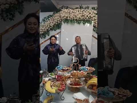 Видео: Замир аккардеонист