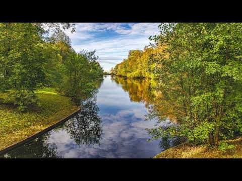 Видео: Осенняя 6