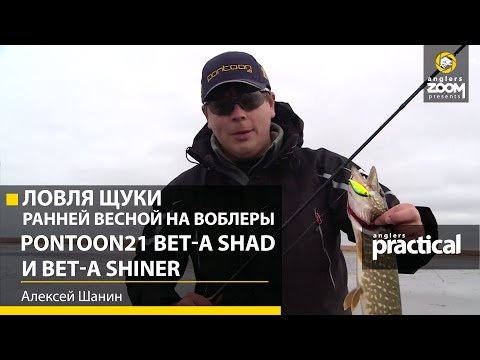 Видео: Ловля щуки ранней весной на воблеры Pontoon21 Bet-A Shad и Bet-A Shiner. А Шанин. Anglers Practical